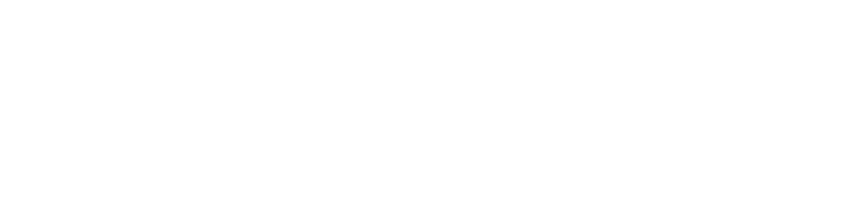 RBM Automotive Group